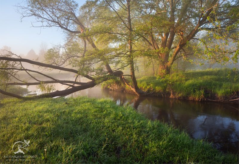 утро, май, весна, туман, река, дерево, трава Майское Утроphoto preview