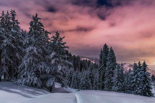 Лунная ночь