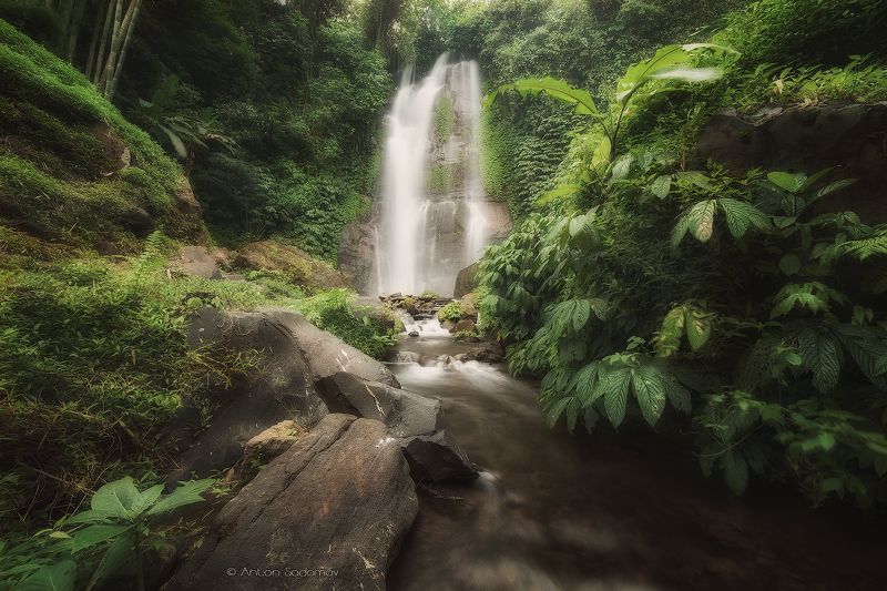 индонезия, бали, водопад, зелень, листва, джунгли Балиphoto preview