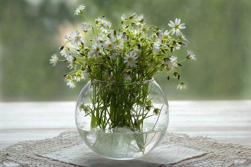 Полевые цветы в стеклянной вазе на окне.