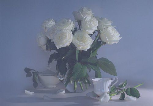 белые розы 2