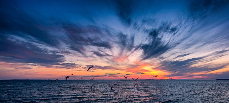 чайки, закат. днестровский лиман, seagulls, sunset, dniester estuary, sky, landscape, sunset, water, cloud, panoramic Чайки на закате...photo preview