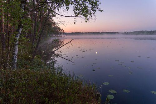 про месяц и тихий рассвет на лесном озере...)