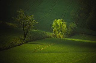 Roztocze