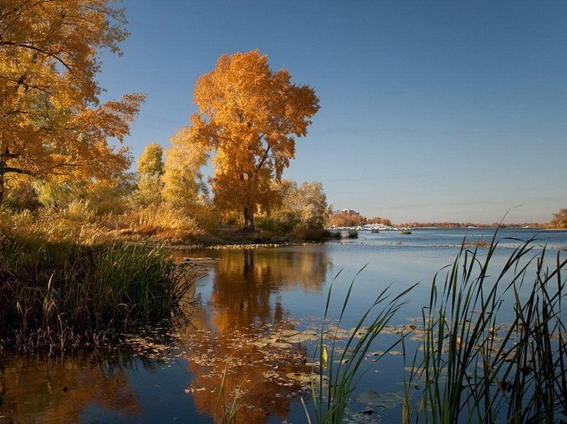 осень, золото, река, киев, днепр photo preview