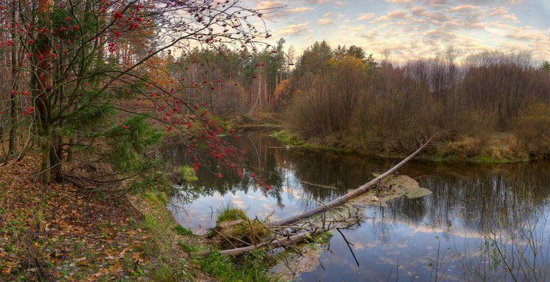 осень, река, рябина осенняя Линдаphoto preview