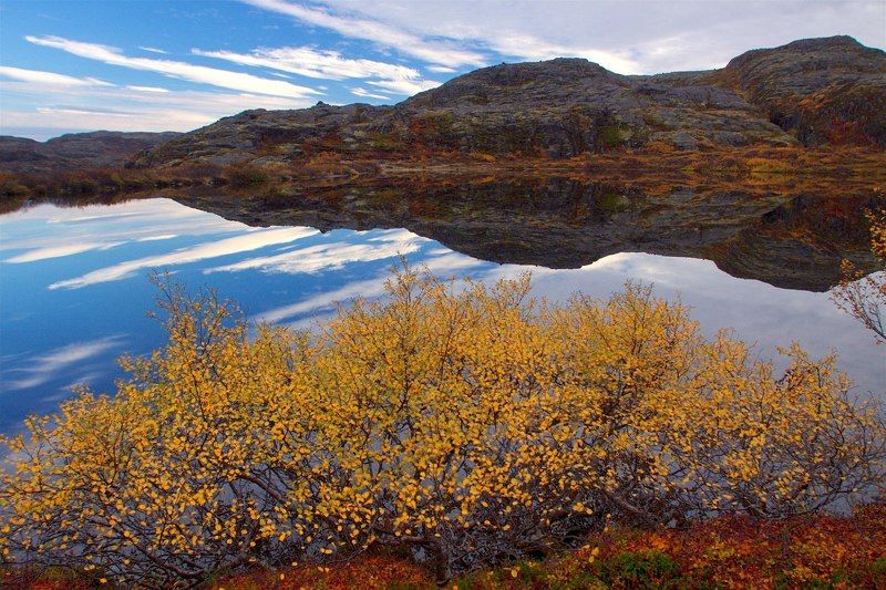 осень, Териберка, север, озеро, отражение Краски осениphoto preview