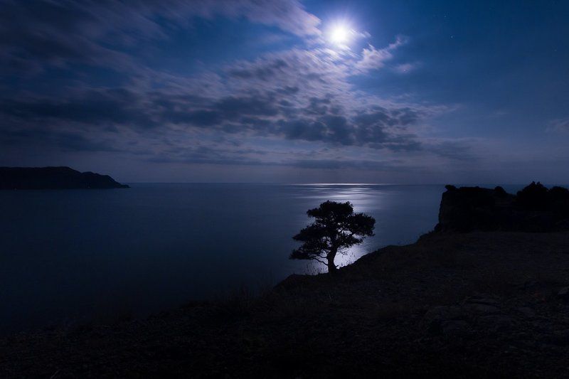Лунная ночь на Черном море.photo preview