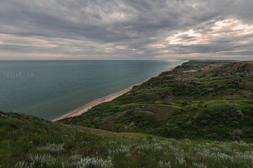 Про дикий берег Азовского моря