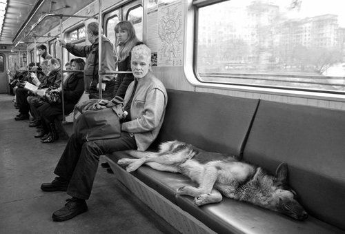 Пассажиры метро