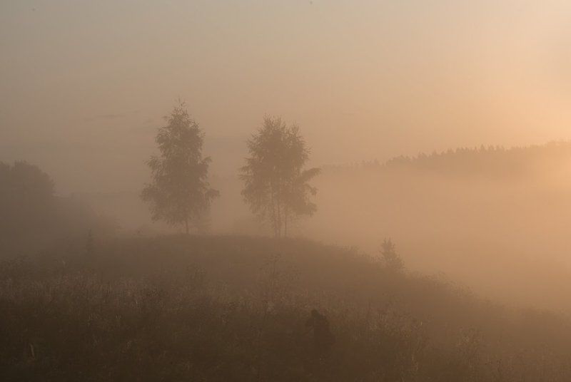 россия, природа, река, угра, смоленская область, август, 2017, рассвет, туман, nikon, лодка, пейзаж, Укутаны туманомphoto preview