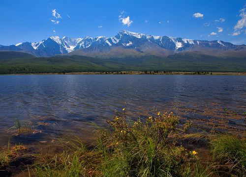 Озеро Джангысколь с видом на Северо-Чуйский хребет.