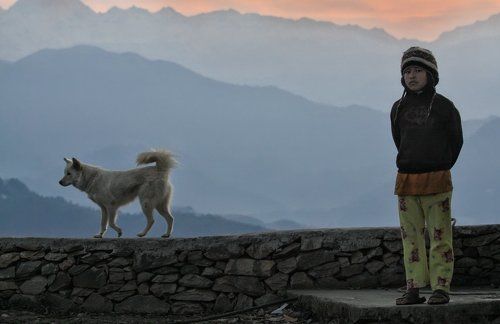 Патрулируя рассвет в Гималаях :)