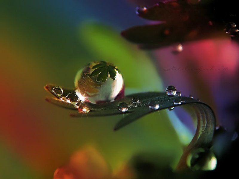 drop, water, air, капля, вода, воздух, natalia, jeshoa art-macro Вселенная на ладониphoto preview