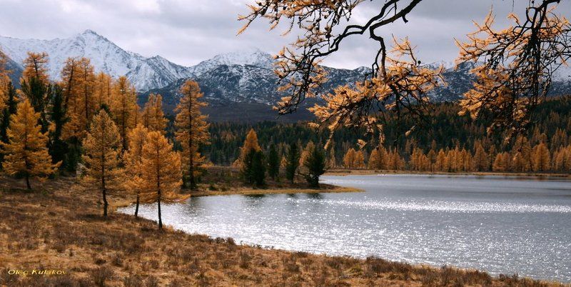улаган,озеро на перевале,горный алтай, сентябрь,озеро,олег кулаков,oleg kulakov Улаган .Озеро. Сентябрь.photo preview