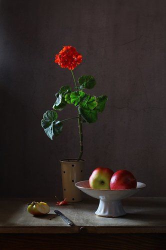 С цветком красной герани и двумя яблоками