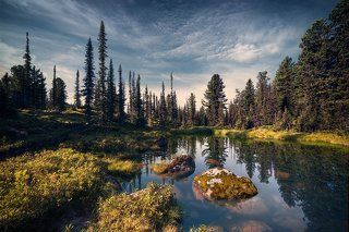 Таежное озерцо / Tiny taiga lake