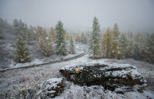 Первый снег на Алтае
