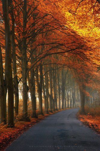 autumn corridor