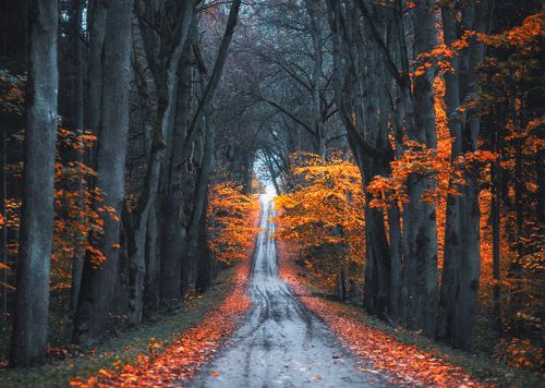 Осенняя Латвия
