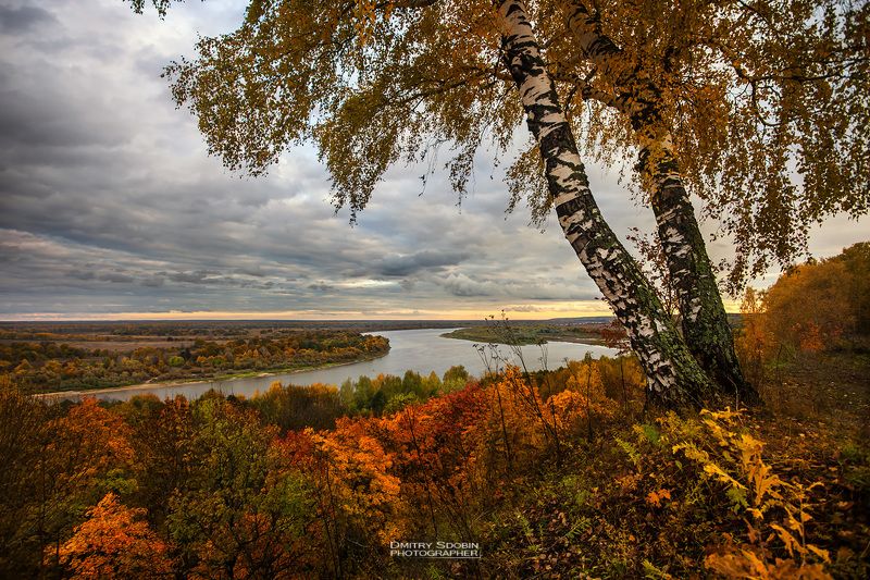 природа, пейзаж, осень, береза, река, небо, облака, landscape, nature, sky, riwer, clouds Осеньphoto preview