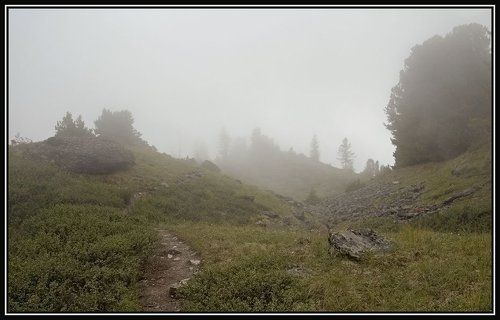 дорога в тумане_1