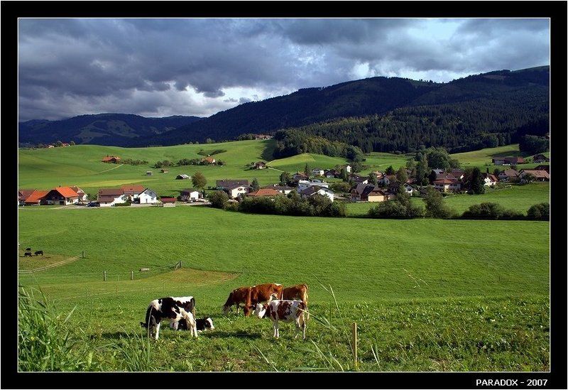 швейцария, деревня, коровы, бах, пастух, paradox \
