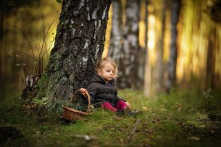 Rest in the magic forest