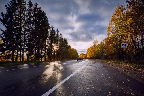 on autumn road...
