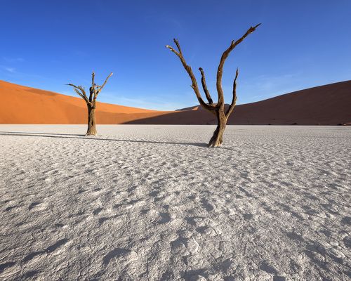 Dead Acacia Trees and Red Dunes of Deadvlei
