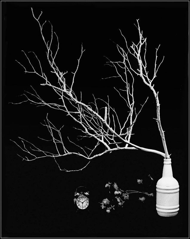 black & white, still life, film, rollei retro 100, Winter still lifephoto preview