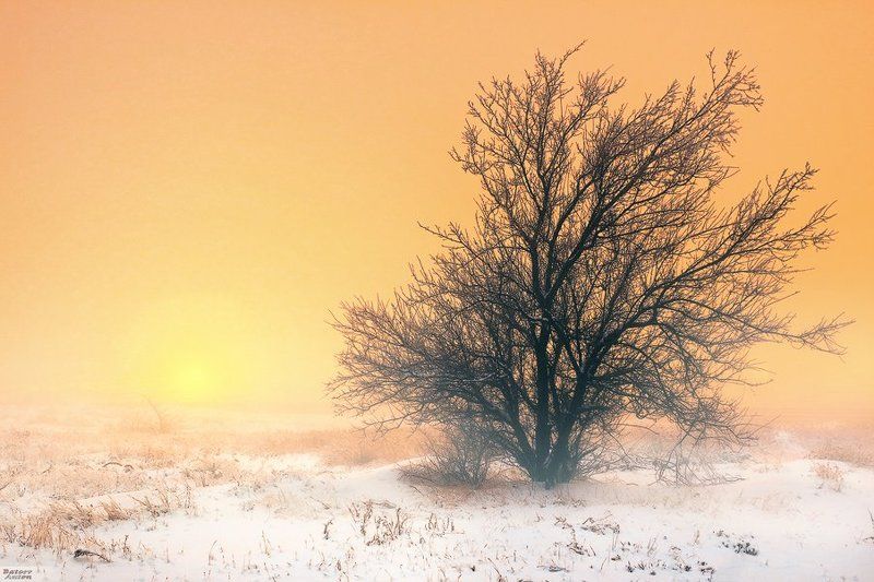 утро, зима, winter, morning, туман Зимнее утроphoto preview