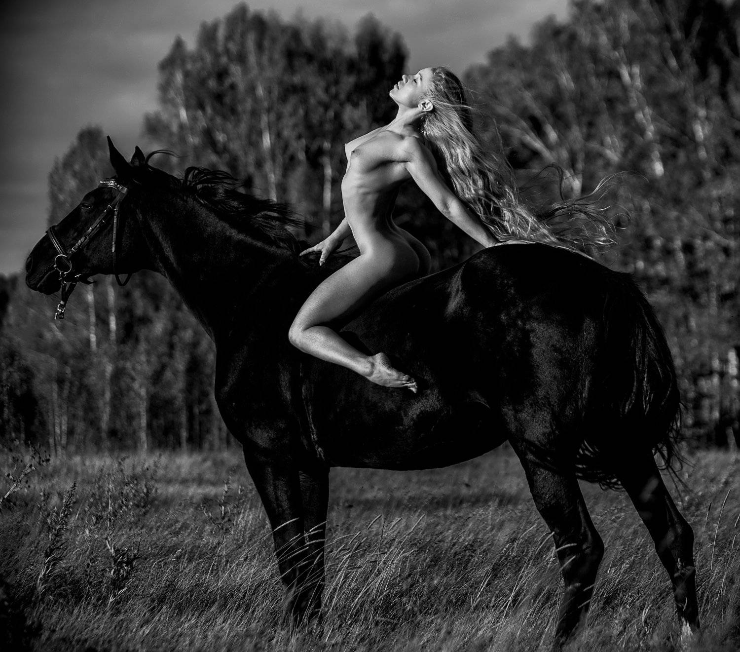эротика девки и конь фото 117