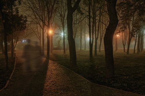 Туманный вечер в моем городке