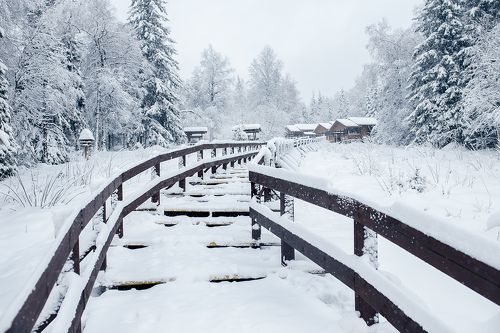 Дорога в снежное царство
