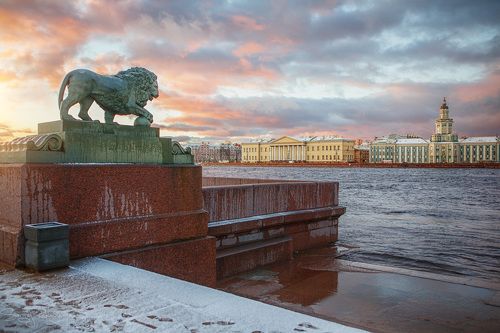 Львы Санкт-Петербурга
