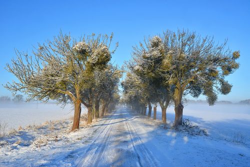 Winter morning on the road