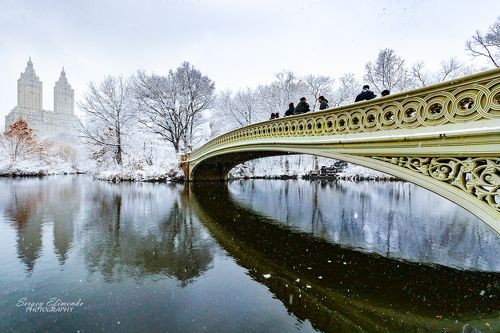 Зима в Центральном парке Нью-Йорка