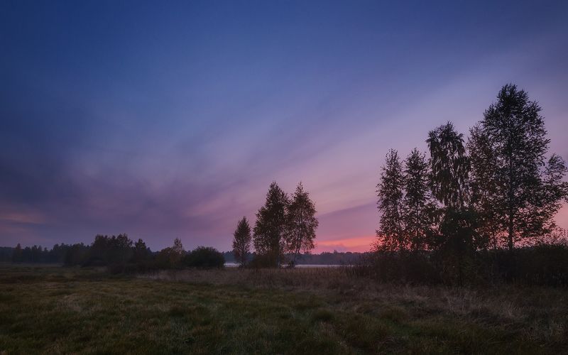 россия, подмосковье, осень, вечер, закат, небо, облака, свет, поле, деревья, трава После закатаphoto preview