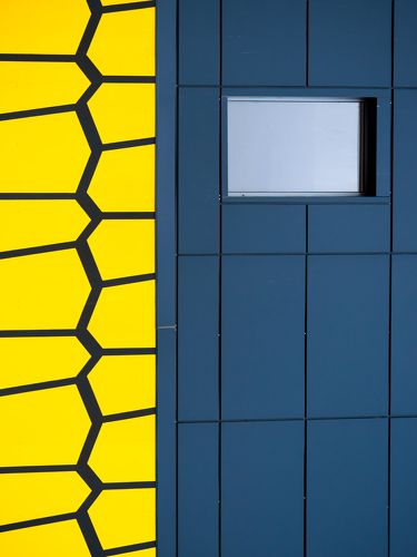 the hive & the window