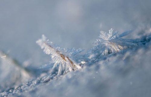 Winter crystal