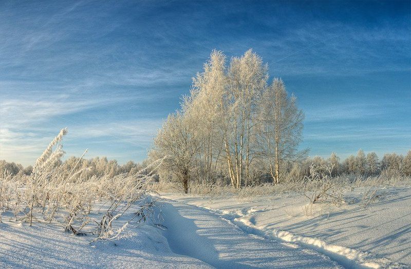 иней, снег, зима, пейзаж сереброphoto preview