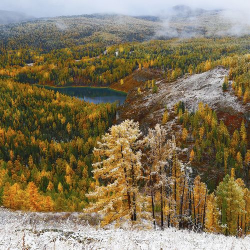 Посеребренная Алтайская осень