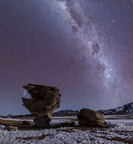 The Stone Tree and The Small Magellanic Cloud