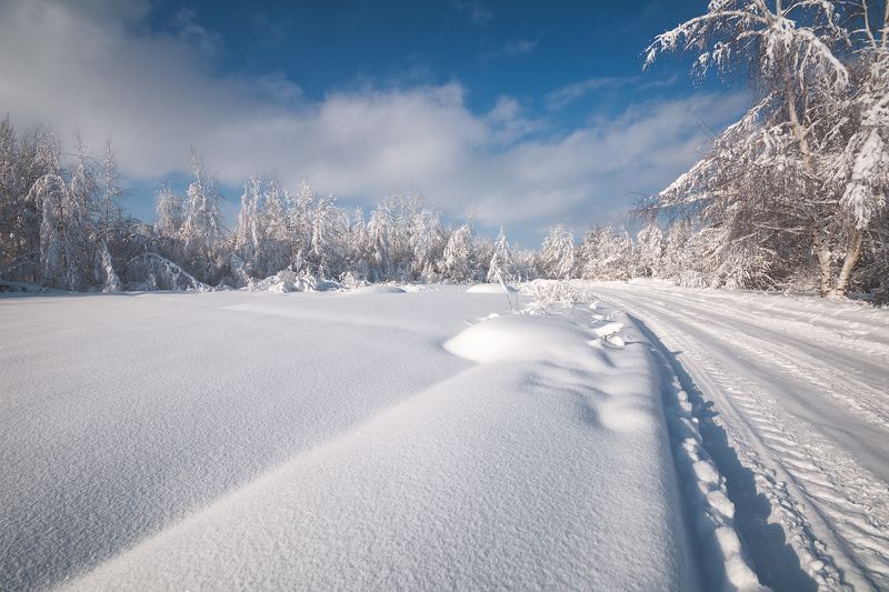 россия, подмосковье, зима, мороз, снег, небо, облака, иней, деревья Февральский полденьphoto preview
