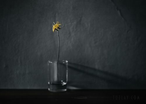 Yellow in a glass