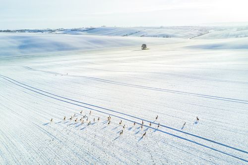 Зима в Южной Моравии