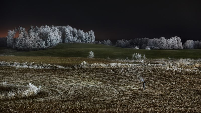 night, meadow, hoarfrost, landscape, winter, poland \