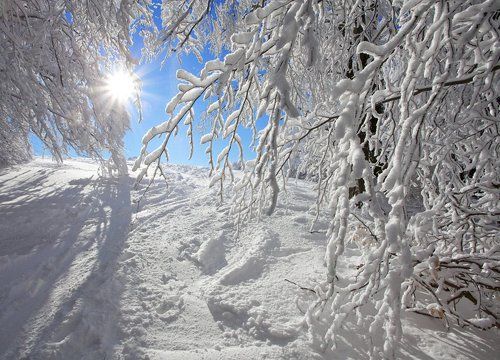 Крымский снег