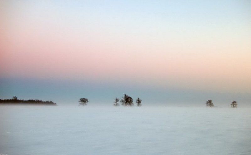 метель,lithuania,evening,snow,after sunset,fog,mist,minimalism,winter Mетель IIphoto preview